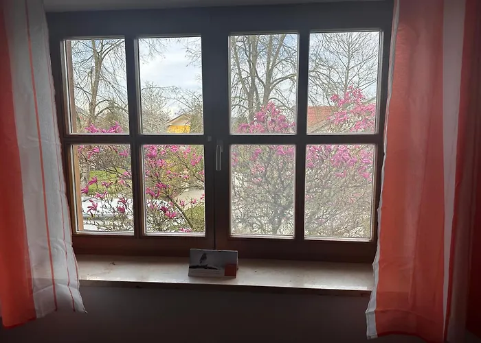 Entspannungsoase Haus Iris Appartamento
